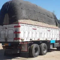 باگاس نیشکر|حیوانات مزرعه|مرودشت, تخت جمشید|دیوار