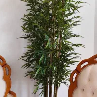 درختچه بزرگ|گل مصنوعی|سنندج, |دیوار