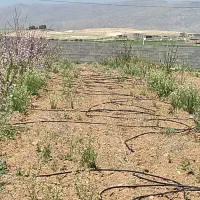 هزارمتر باغ بیضا