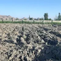 زمین خالی موقعیت دار گویجعلی اصلان