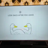 تلویزیون ۶۵ اینچ دوو|تلویزیون و پروژکتور|شاهین‌شهر, شهرک منازل چوبی|دیوار