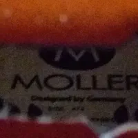 ویولن|ویولن|سنندج, |دیوار