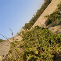 باغ-ویلایی