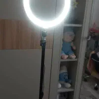 رینگ لایت|دوربین عکاسی و فیلمبرداری|فردیس, فردیس|دیوار