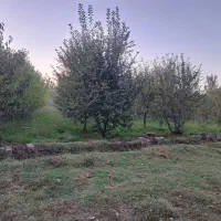 فروش باغ(میولیخ) در روستای پیرموسی|فروش زمین و ملک کلنگی|فیرورق, |دیوار