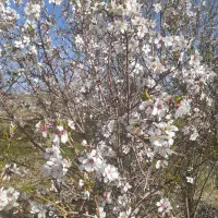 طبیعت گردی و کوه نوردی