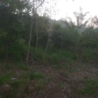 فروش ۴۵۰ متر متری شش میلیون تومان است|فروش دفتر صنعتی، کشاورزی، تجاری|اطاقور, |دیوار