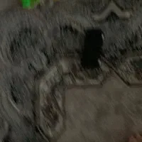 خاص ترین ژرمن