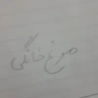 مرغ تخم کن