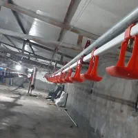 مرغداری گوشتی مشگین شهراجاره داده میشود|اجارهٔ دفتر صنعتی، کشاورزی، تجاری|مشگین شهر, |دیوار