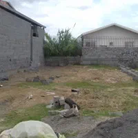 زمین شمال بابلسر معاوضه یا فروش