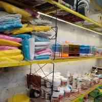 جوجه سرلاکی عروس|پرنده|زنجان, |دیوار