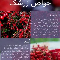 آب زرشک کوهی کاملا طبیعی|خوردنی و آشامیدنی|مشهد, قائم|دیوار