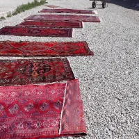 قالیشویی مبل شویی در تهرانسر شهرک ولیعصر یافت آباد|خدمات نظافت|تهران, تهرانسر مرکزی|دیوار