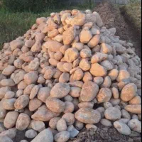 لاشه سنگ ماسه