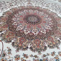 فرش ۶متری|فرش|لاهیجان, کوی آزادگان|دیوار