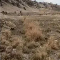 زمین کشاورزی