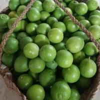 لیمو درشت چین روز