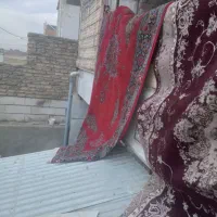 دوتا قالی زیبا وسالم وتمیز