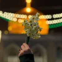 زیات مشهد قسطی