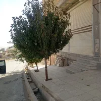 مغازه تجاری شهرک گلان|اجارهٔ مغازه و غرفه|سقز, |دیوار