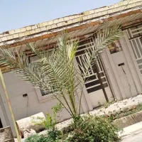 استا نماکار بهترین کارو مناسب ترین قیمت|خدمات پیشه و مهارت|بم, |دیوار