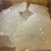 نبات اصفهان طلای زرد اصفهان