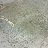 تور ماهیگیری
