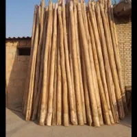 خرید چوب درخت|خدمات باغبانی و درختکاری|خرم‌آباد, |دیوار