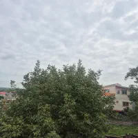 حسابدار در فروشگاه لوازم یدکی