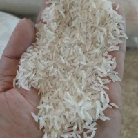 برنج فجر طارم دمسیاه سالم و لاشه برنج و نمیدانه