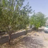 ۲۸۰متر زمین باخونه۴۵متری دهبکری محله بیدزاغ