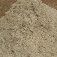 کاه گندم نرم وتازه