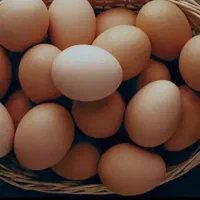 تخم مرغ