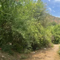 فروش خانه ویلای ۲۷۰متری پاه کوه جای دنج|فروش خانه و ویلا|شاندرمن, |دیوار