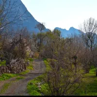 زمین کشاورزی و باغی ۶ ساعت آب احمدآباد
