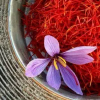 زعفران سوپر نگین اصل قائنات|خوردنی و آشامیدنی|رشت, توشیبا|دیوار