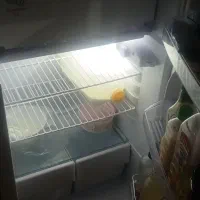 یخچال.|یخچال و فریزر|نقده, |دیوار