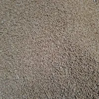 حدود ۵ تن گندم درجه یک