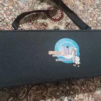 ملودیکا مدل سوان|سازهای بادی|سنندج, |دیوار