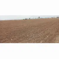 اجاره۱۵هکتارزمین کشاورزی دیم|اجارهٔ دفتر صنعتی، کشاورزی، تجاری|اندیمشک, |دیوار