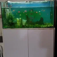 آکواریوم و کمد