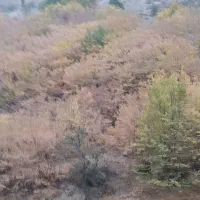 خریدار وام400میلیونی طرح مهربانی