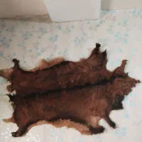 پوست گوسفند تزیینی