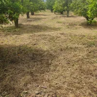 زمین قطعه های 500متری به بالا