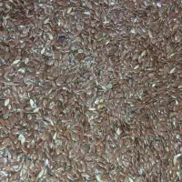 پخش عمده بارهنگ سرت دانه چیا وکینوا کتان قرمزوسیاه|خوردنی و آشامیدنی|تهران, تهرانسر شمالی|دیوار