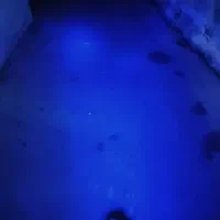 موتور کلاسیک مدل 1400|موتورسیکلت|کیش, |دیوار