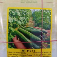 بذرمولتی ۱۱۰ خیار  MT110