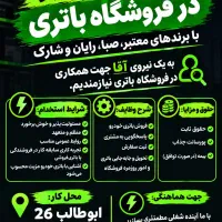 استخدام فروشنده باطری
