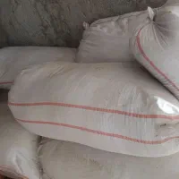 کاه جو زابل